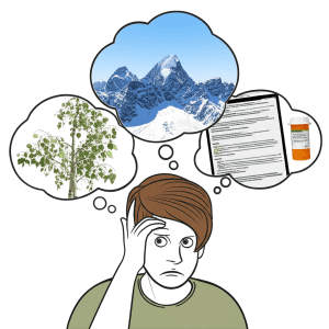 Aspen 中文：一次搞懂！植物、地名、軟體、品牌，四大面向全面解讀